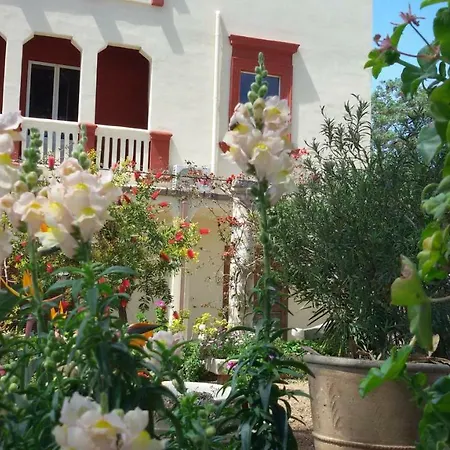 Santa Rosa Дом отдыха Санникола