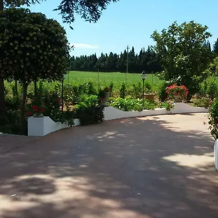 Santa Rosa *